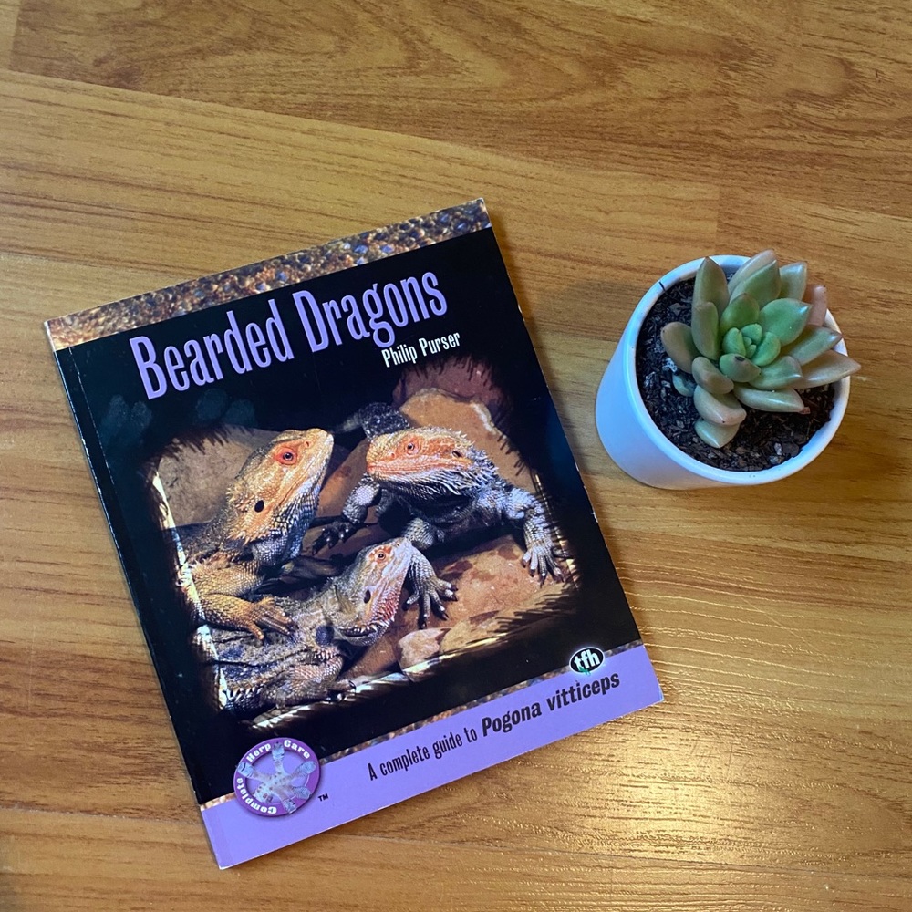 Bearded Dragons Complete Guide